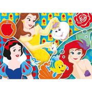 Puzzle Princess, 2×20 teilig