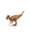 Pachycephalosaurus