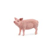 SPCschleich-schwein-1.jpg