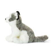 SPCwwf-husky-23-cm-15177002-1732912-1.jpg