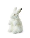 WWF Schneehase 24 cm 15.182.004