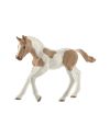 Schleich Paint Horse Fohlen