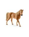 Tennessee Walker Stute